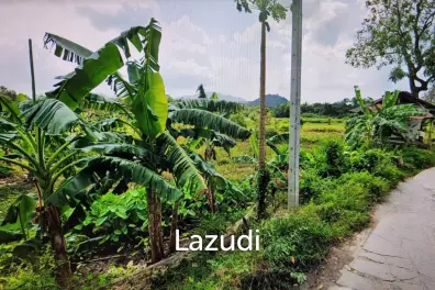 Prime Land Opportunity in Lush Lipa Noi Ko Samui