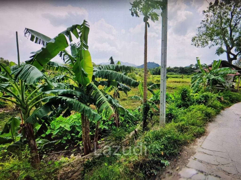 Prime Land Opportunity in Lush Lipa Noi Ko Samui