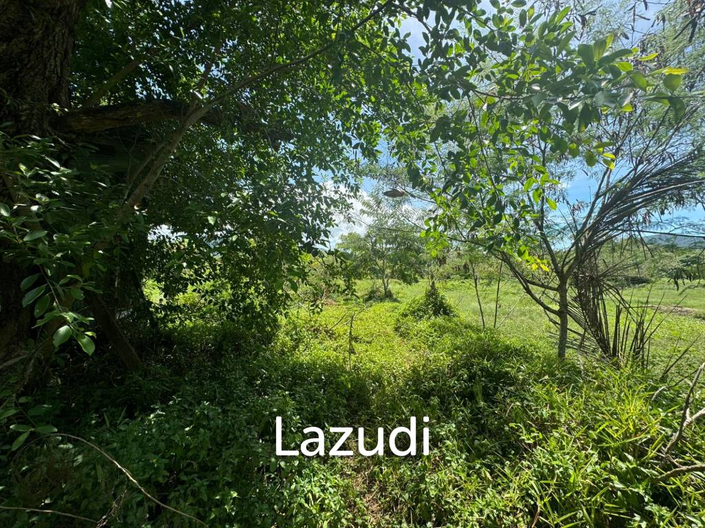 Prime Land Opportunity in Lush Lipa Noi Ko Samui