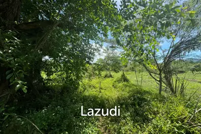 Prime Land Opportunity in Lush Lipa Noi Ko Samui