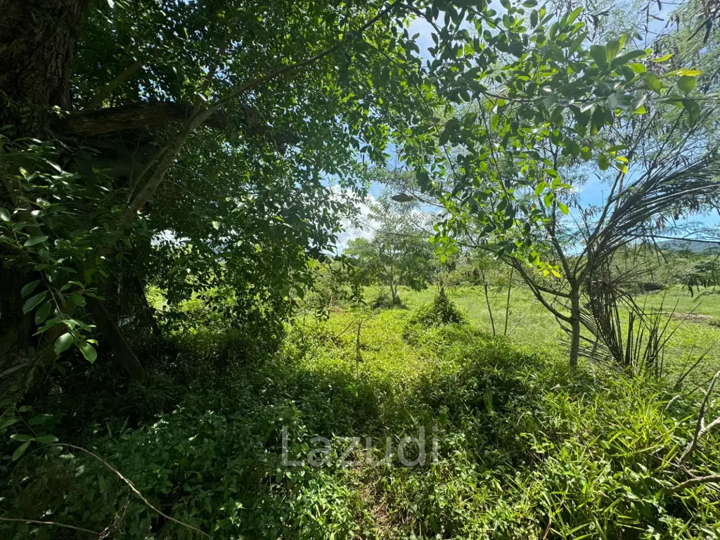 Prime Land Opportunity in Lush Lipa Noi Ko Samui