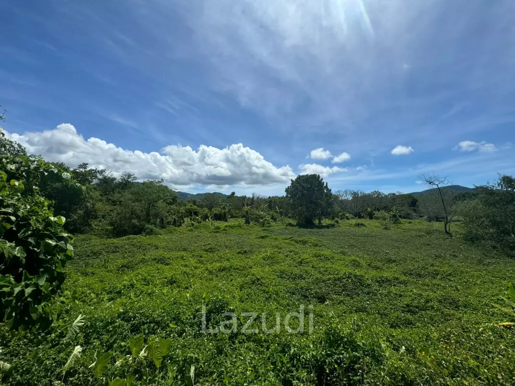Prime Land Opportunity in Lush Lipa Noi Ko Samui