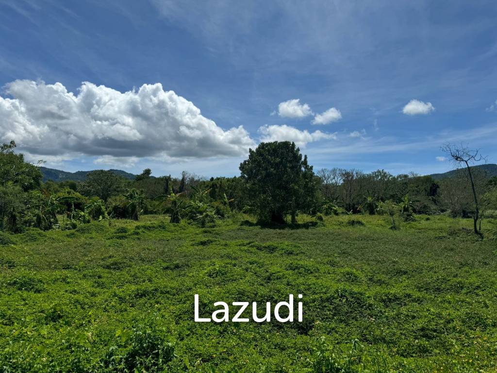 Prime Land Opportunity in Lush Lipa Noi Ko Samui