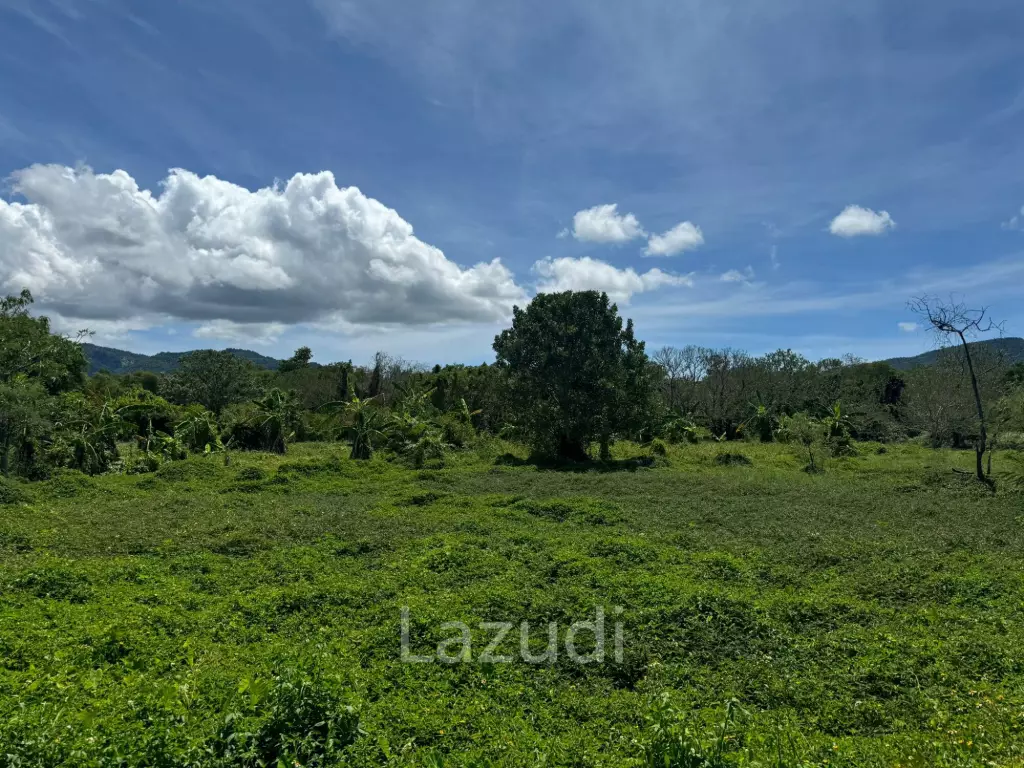 Prime Land Opportunity in Lush Lipa Noi Ko Samui