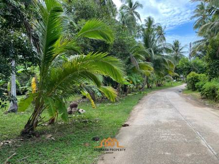 Tropical Freehold Land for Sale in Hua Thanon, Ko Samui