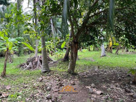 Tropical Freehold Land for Sale in Hua Thanon, Ko Samui