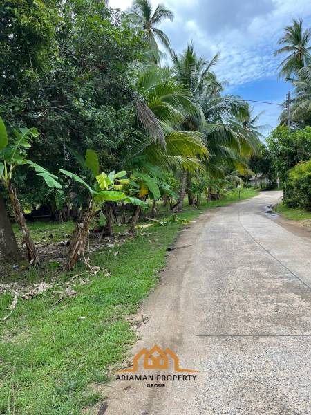 Tropical Freehold Land for Sale in Hua Thanon, Ko Samui