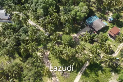 Own a Unique Piece of Land in the Most Popular Area of Srithanu, Koh Phangan!