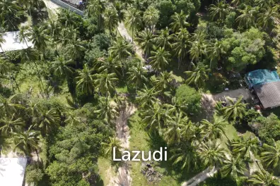 Own a Unique Piece of Land in the Most Popular Area of Srithanu, Koh Phangan!