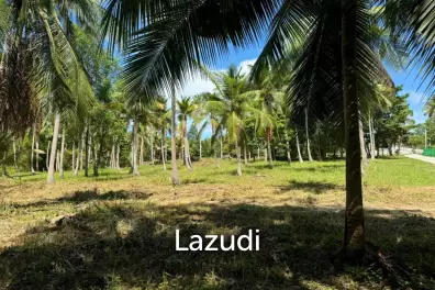 Prime Land for Sale in Beautiful Wok Tum, Koh Phangan!