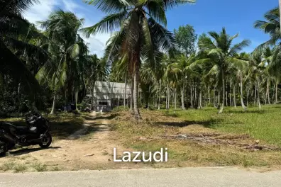 Prime Land for Sale in Beautiful Wok Tum, Koh Phangan!