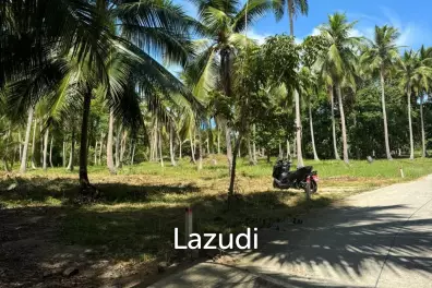 Prime Land for Sale in Beautiful Wok Tum, Koh Phangan!
