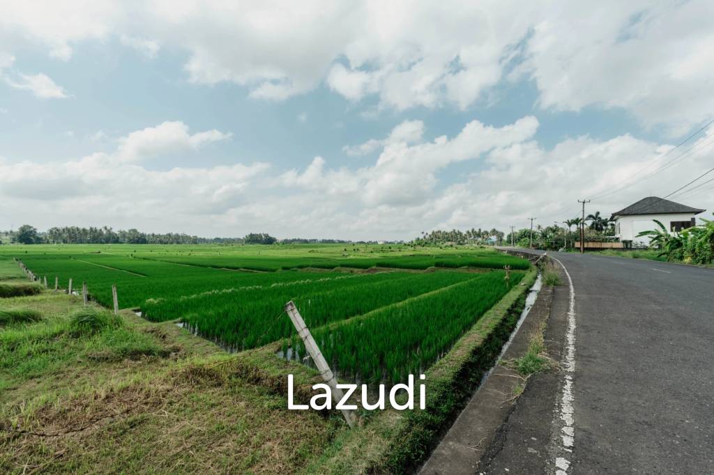 BRAND NEW 3-BEDROOM VILLA WITH OCEAN VIEW AND BEACH ACCESS IN KEDUNGU