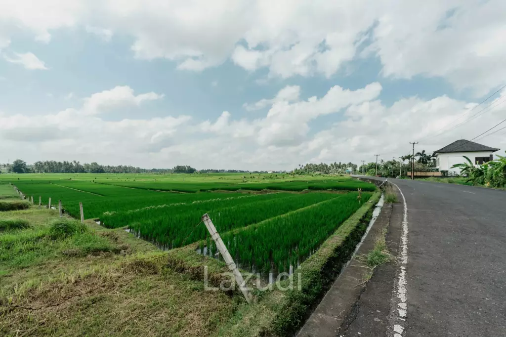 BRAND NEW 3-BEDROOM VILLA WITH OCEAN VIEW AND BEACH ACCESS IN KEDUNGU
