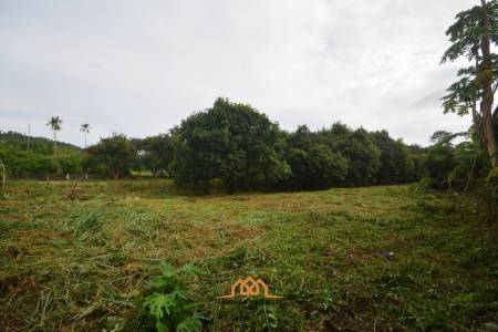 2.1 Rai - Spacious Land for Sale in Bo Phut.