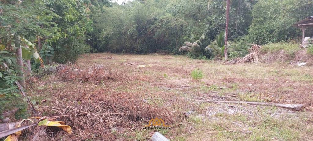 536 sqm of Scenic Freehold Land in Mae Nam