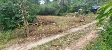 536 sqm of Scenic Freehold Land in Mae Nam