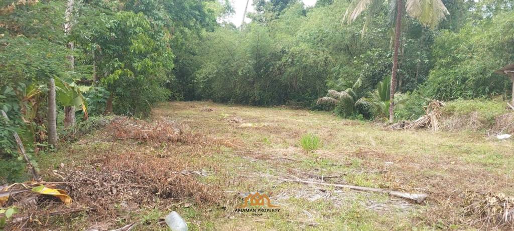 536 sqm of Scenic Freehold Land in Mae Nam