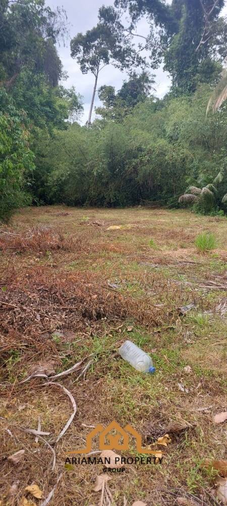 536 sqm of Scenic Freehold Land in Mae Nam