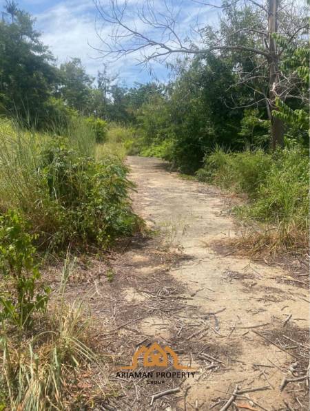 1200 sqm of Seaview Freehold Land in Mae Nam