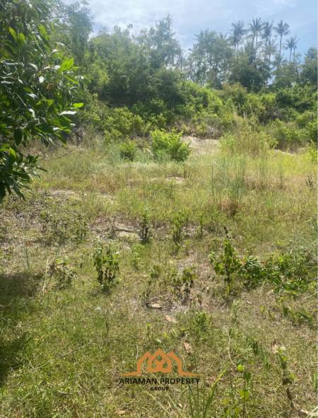 1200 sqm of Seaview Freehold Land in Mae Nam