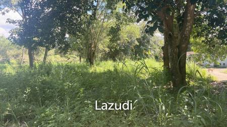 1 Rai Land For Sale at Doi Khao Kwai Area