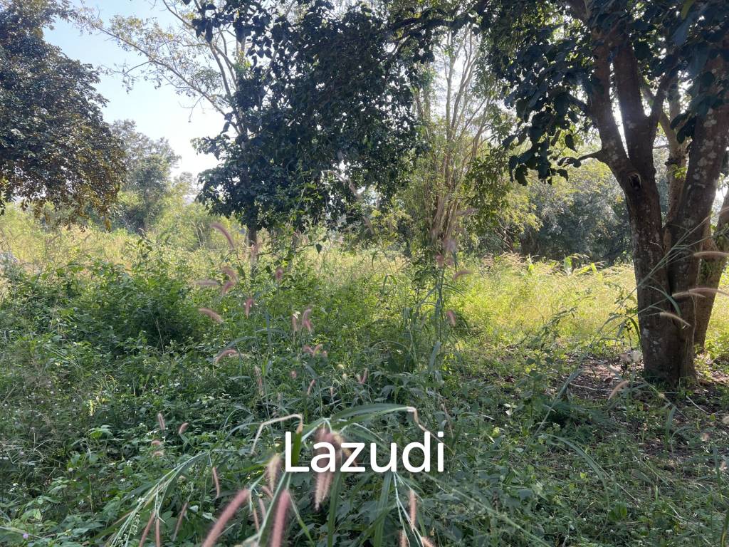 1 Rai Land For Sale at Doi Khao Kwai Area