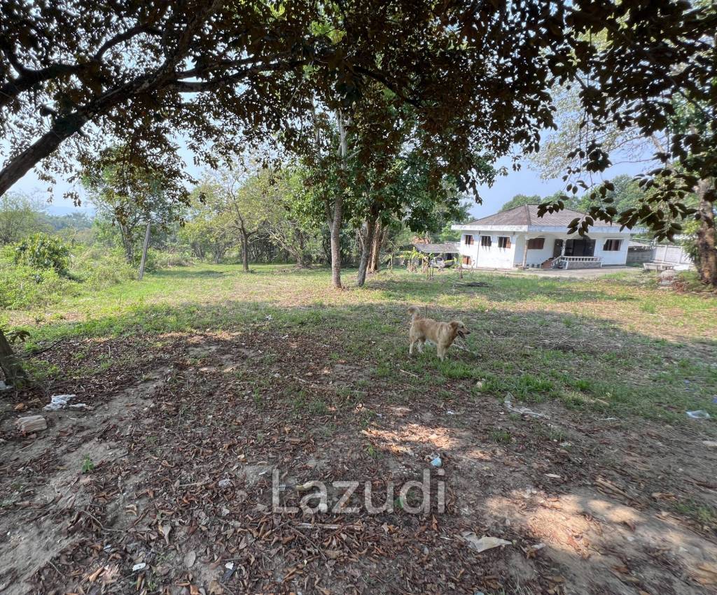 1 Rai Land For Sale at Doi Khao Kwai Area