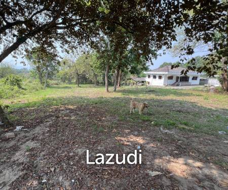 1 Rai Land For Sale at Doi Khao Kwai Area