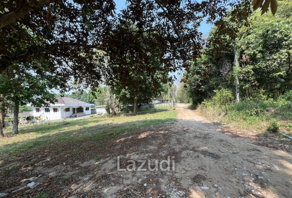 1 Rai Land For Sale at Doi Khao Kwai Area