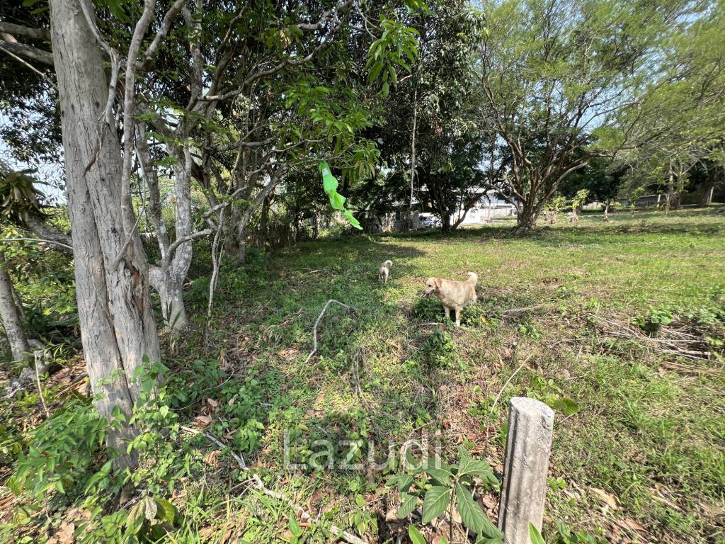 1 Rai Land For Sale at Doi Khao Kwai Area