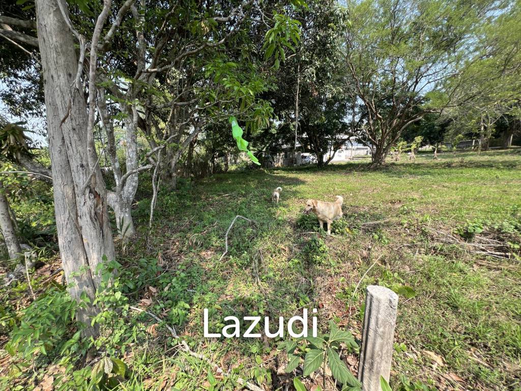 1 Rai Land For Sale at Doi Khao Kwai Area