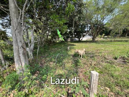 1 Rai Land For Sale at Doi Khao Kwai Area