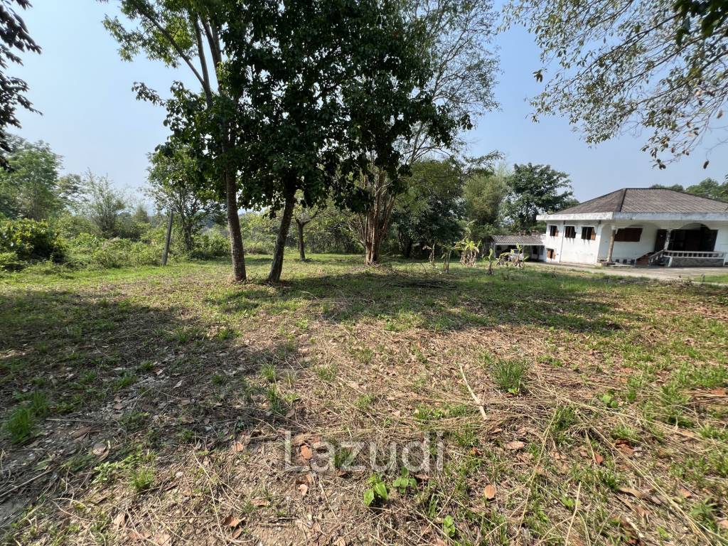 1 Rai Land For Sale at Doi Khao Kwai Area