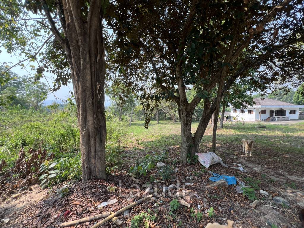 1 Rai Land For Sale at Doi Khao Kwai Area