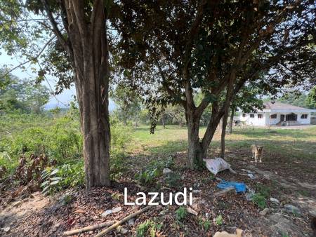 1 Rai Land For Sale at Doi Khao Kwai Area