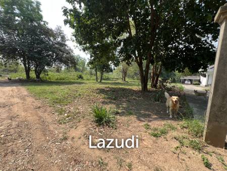 1 Rai Land For Sale at Doi Khao Kwai Area