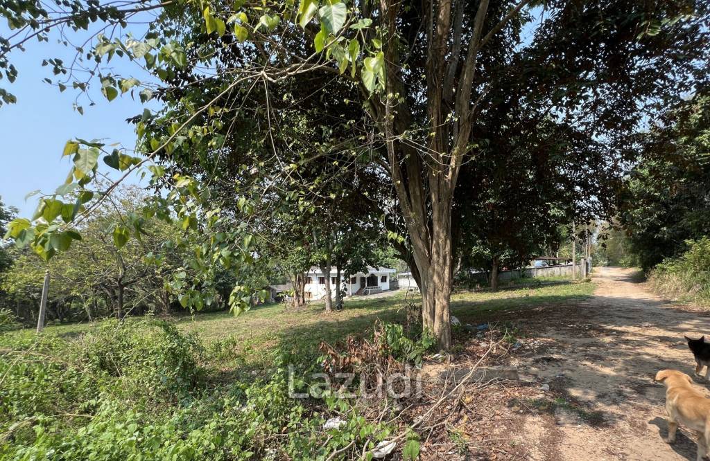 1 Rai Land For Sale at Doi Khao Kwai Area