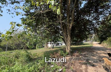 1 Rai Land For Sale at Doi Khao Kwai Area