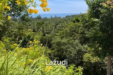 Stunning 1084 m² Land with Sea View Overlooking Chaloklum Bay, Koh Phangan