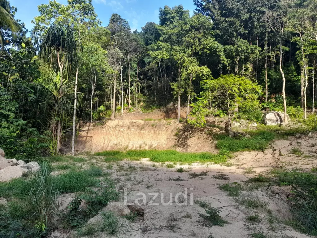 Affordable Land for Sale in Serene Ko Pha-ngan