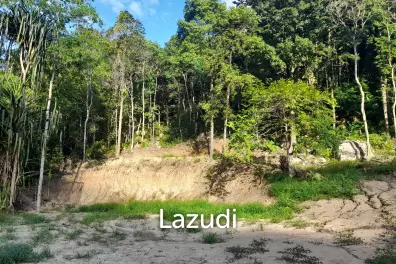 Affordable Land for Sale in Serene Ko Pha-ngan