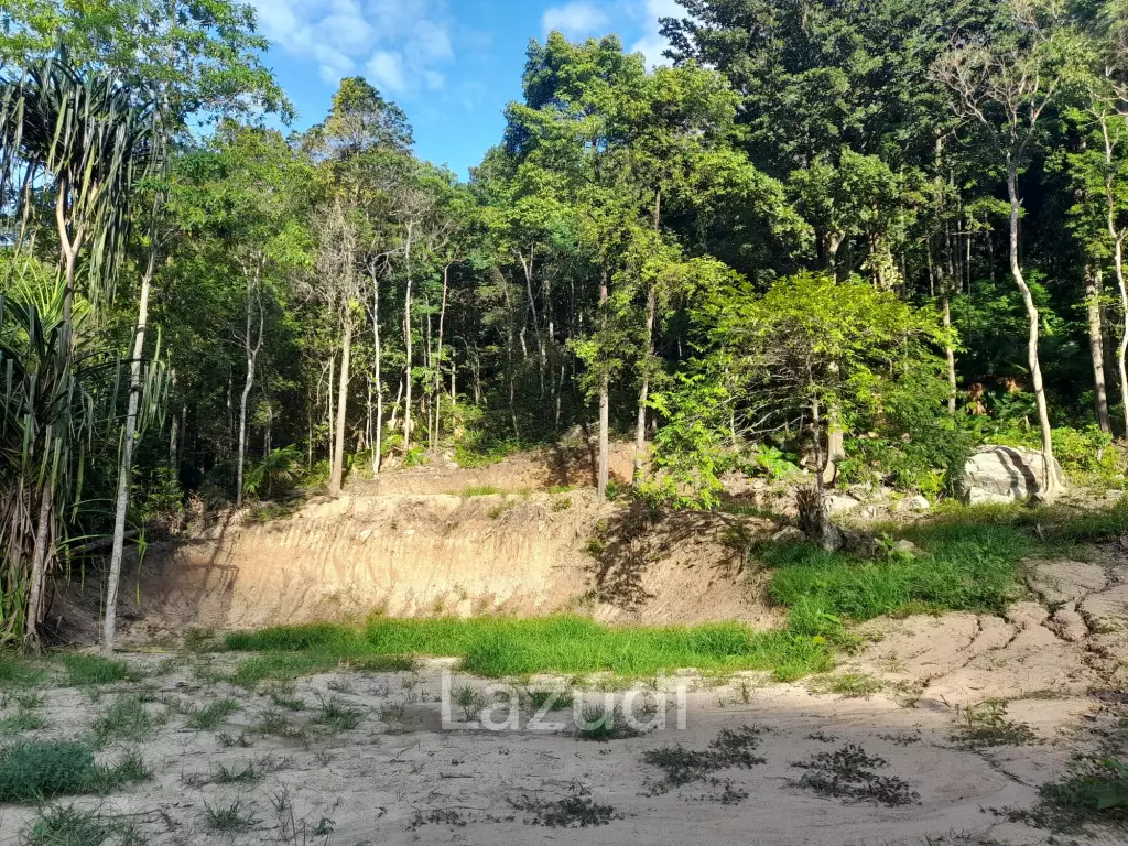 Affordable Land for Sale in Serene Ko Pha-ngan