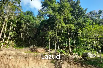 Affordable Land for Sale in Serene Ko Pha-ngan