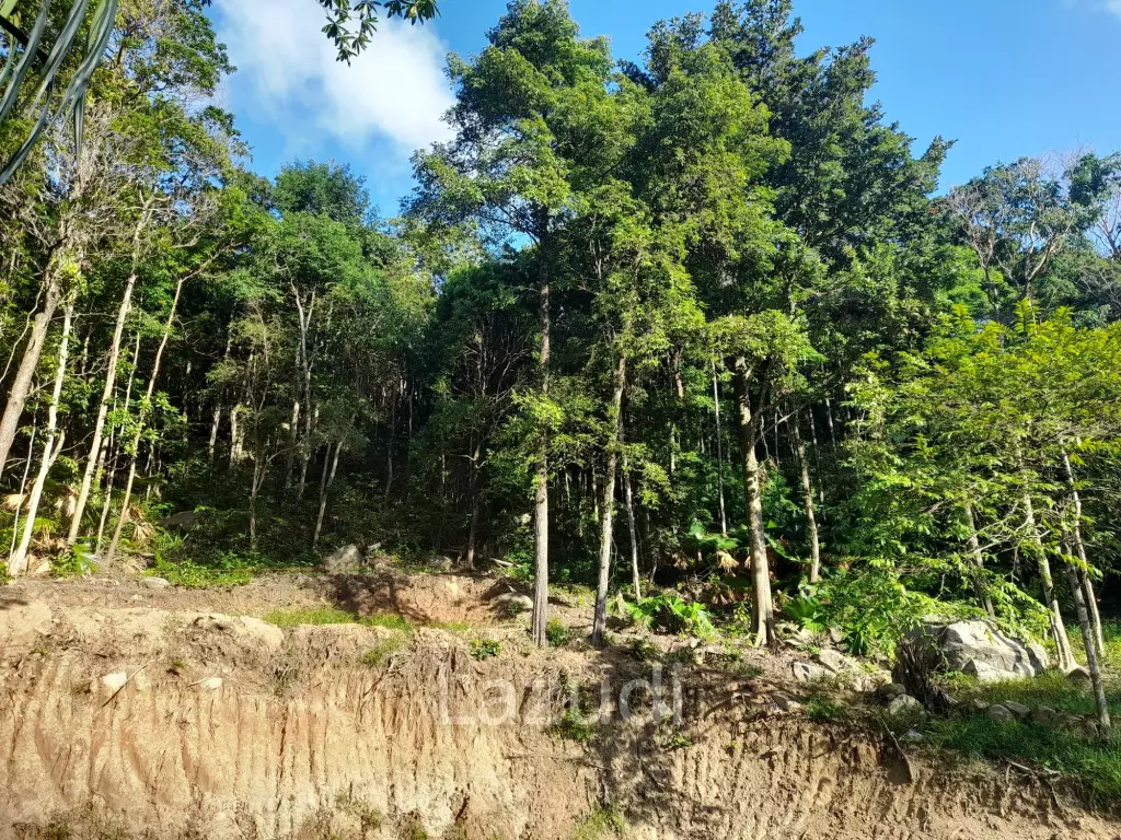 Affordable Land for Sale in Serene Ko Pha-ngan