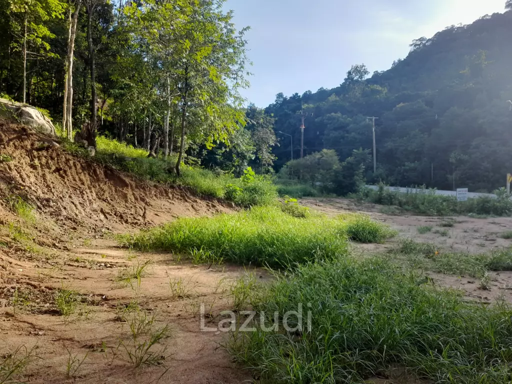 Affordable Land for Sale in Serene Ko Pha-ngan