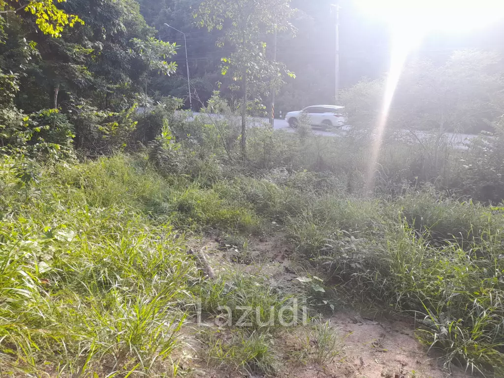 Affordable Land for Sale in Serene Ko Pha-ngan