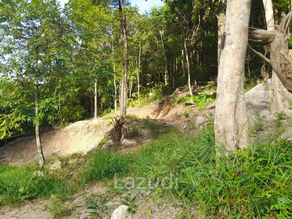 Affordable Land for Sale in Serene Ko Pha-ngan