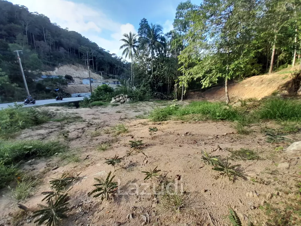 Affordable Land for Sale in Serene Ko Pha-ngan