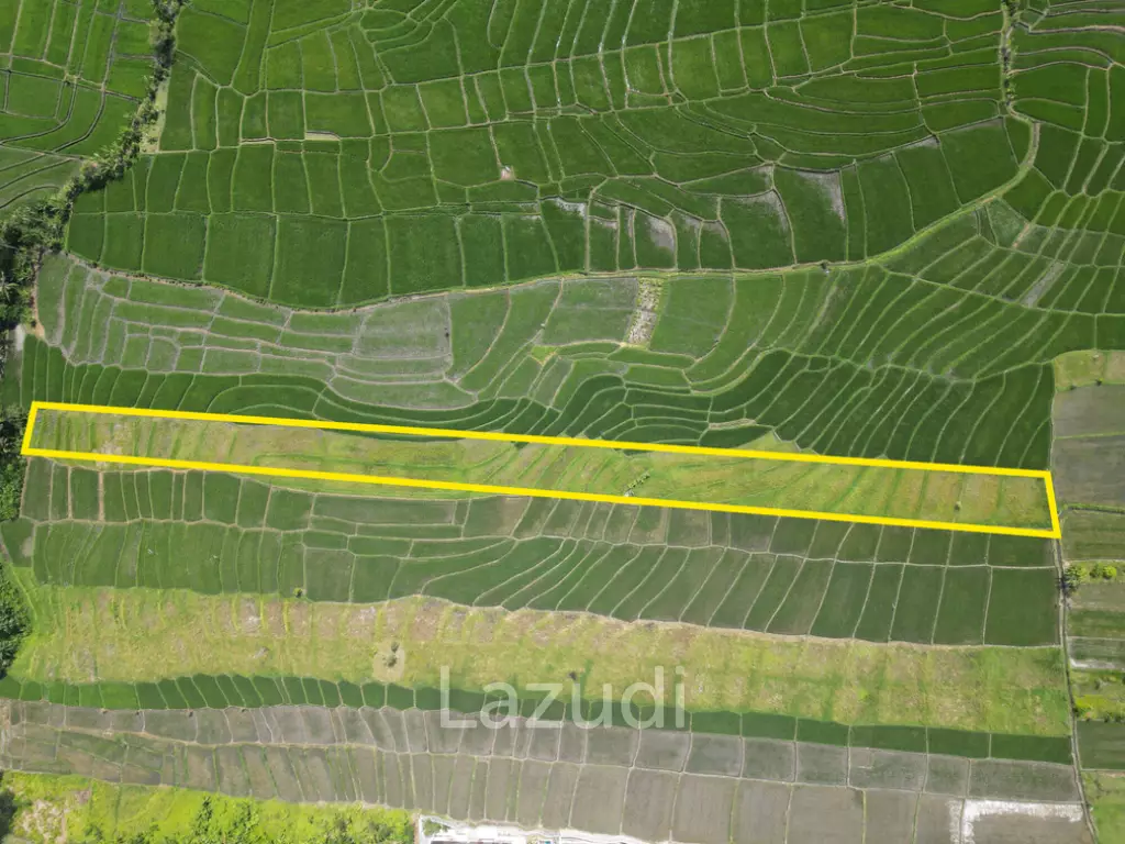 Prime 68.36 Are Pink Zone Land in Cemagi, Ideal for Development, 3 Minutes Away From the Beach